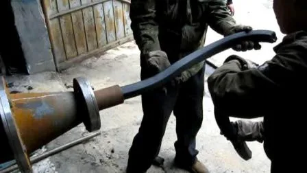 Máquina extrusora de briquete em pó de carvão vegetal de fábrica da China (WSMB)